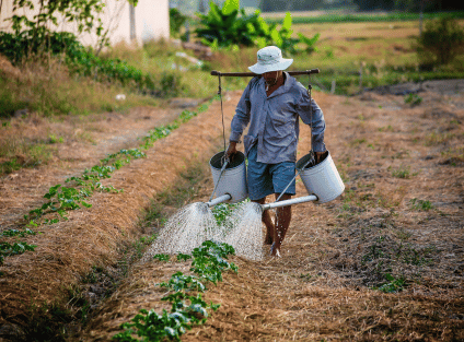 Agriculture 